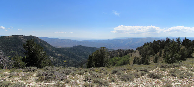 Panorama from Indian Head