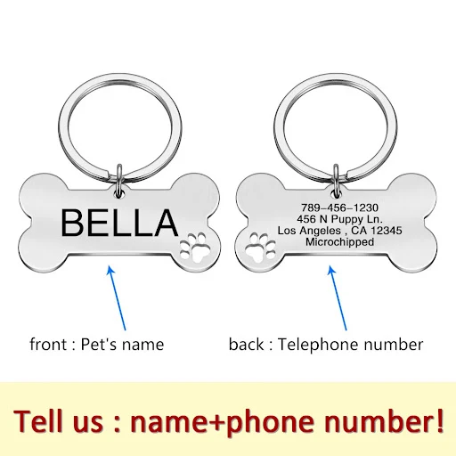 Personalized Dog Collar Address ID Tags for Dogs Medal with Engraving Name Customizable Kitten Puppy Accessories Necklac