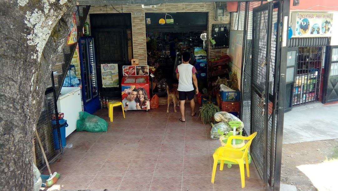 Tienda Los Pinzon