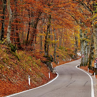 Autunno Road di 