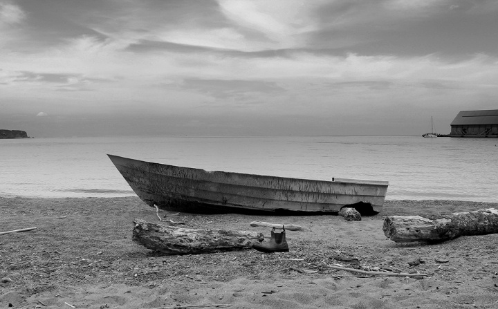 L'abbandono.. di Naldina Fornasari