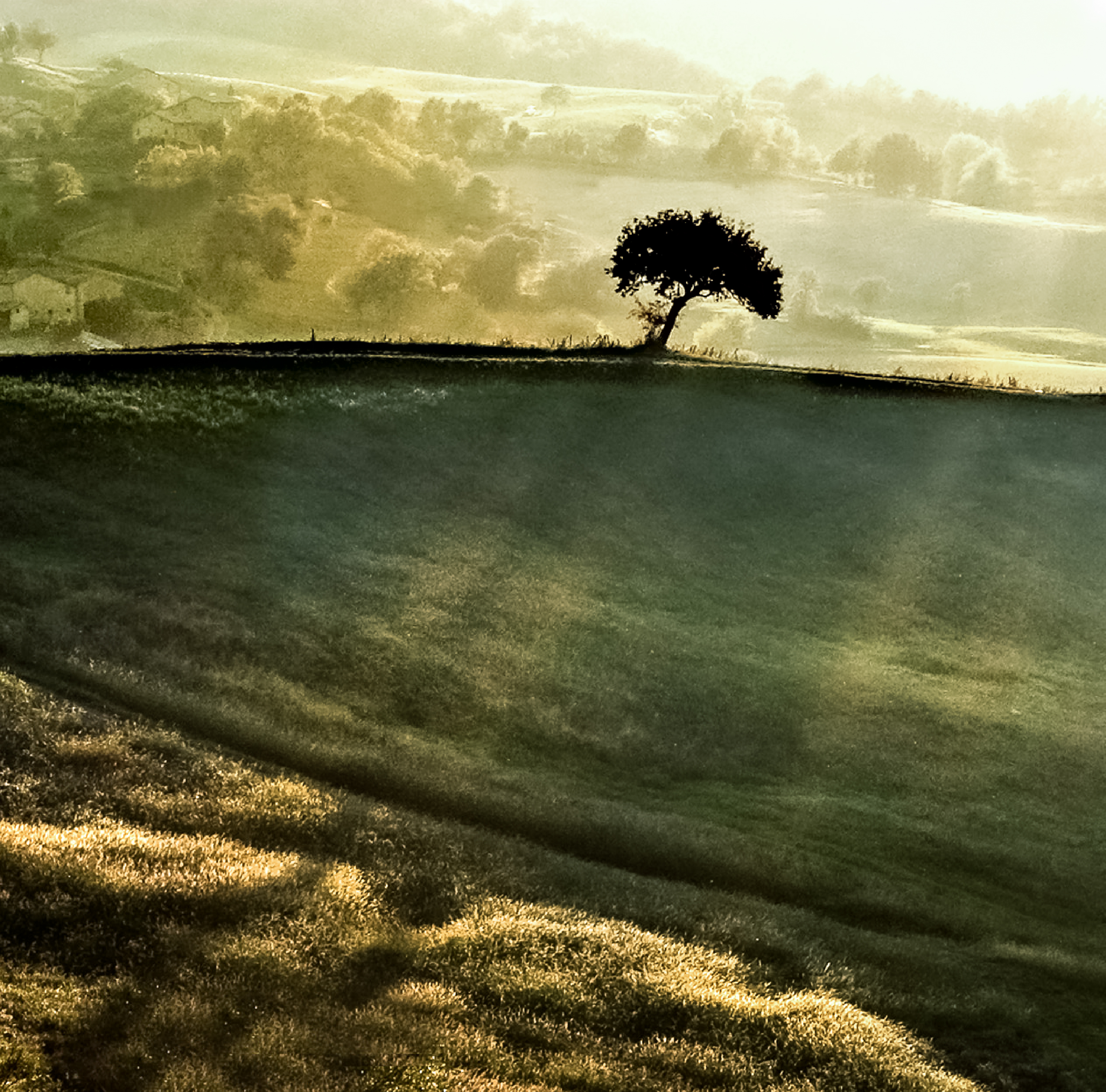 appennino di bi