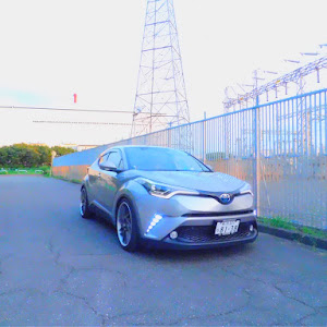 C-HR ZYX10