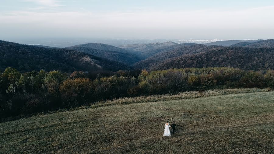 Kāzu fotogrāfs Nikola Segan (nikolasegan). Fotogrāfija: 13. novembris 2018