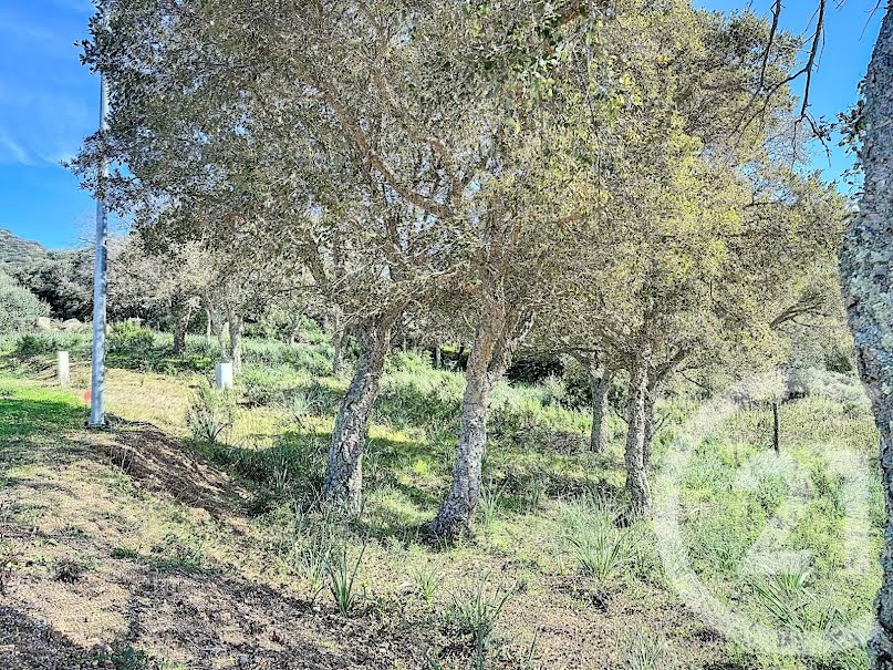 Vente terrain à batir  764 m² à Porto-Vecchio (20137), 212 000 €