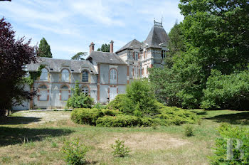 château à La Charité-sur-Loire (58)