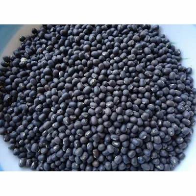 Masoor Dal - 1 kg