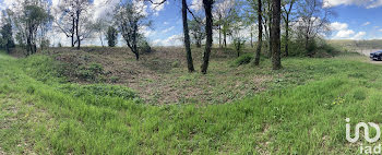 terrain à Saint-benoit (86)