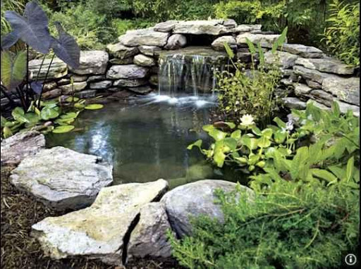 Fish Pond Ideas