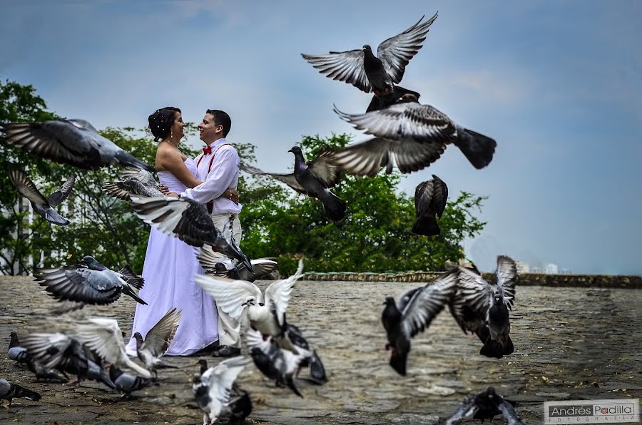 Düğün fotoğrafçısı Andres Padilla Fotografía (andrespadillafot). 21 Şubat 2018 fotoları