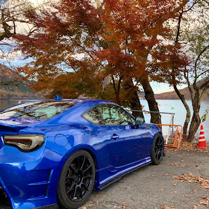 BRZ ZC6