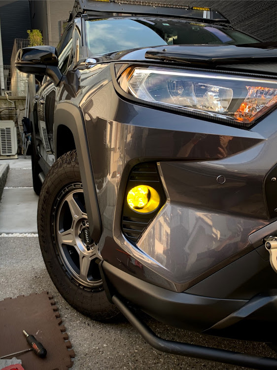 Diode Dynamics RAV4 フォグライト 黄 アンバーバックライト付 ライト