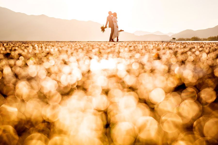 Photographe de mariage Phuc Do (phucdo91). Photo du 24 mai 2023