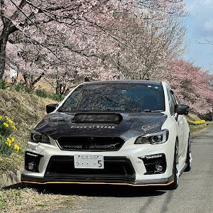 WRX S4 VAG