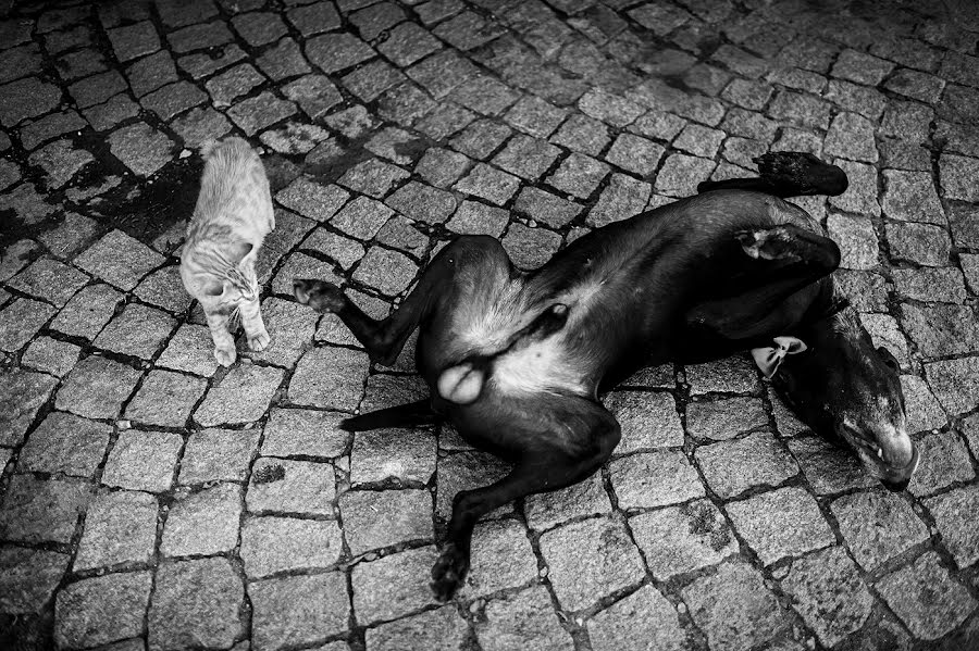 Vestuvių fotografas Petr Wagenknecht (wagenknecht). Nuotrauka 2019 rugsėjo 17