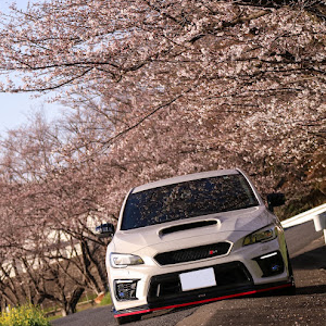 WRX S4 VAG