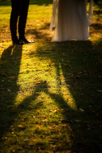 Fotógrafo de casamento Cezar Brasoveanu (brasoveanu). Foto de 23 de janeiro 2020