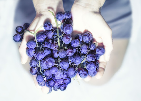 Vendemmia di Caterina Brillante