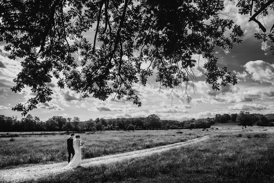 Wedding photographer Catalin Gogan (gogancatalin). Photo of 10 July 2019