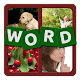 Download 4 Pics 1 Word For PC Windows and Mac 1.0