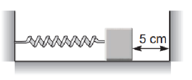 Spring-mass system