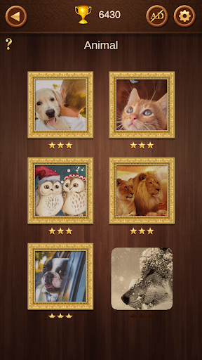 Tiny Photo Puzzle - New Jigsaw Type Puzzle