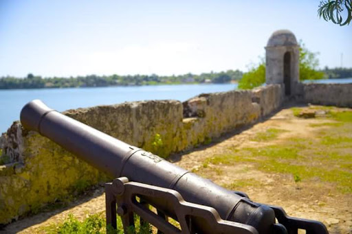 Guns at Dutch Port 