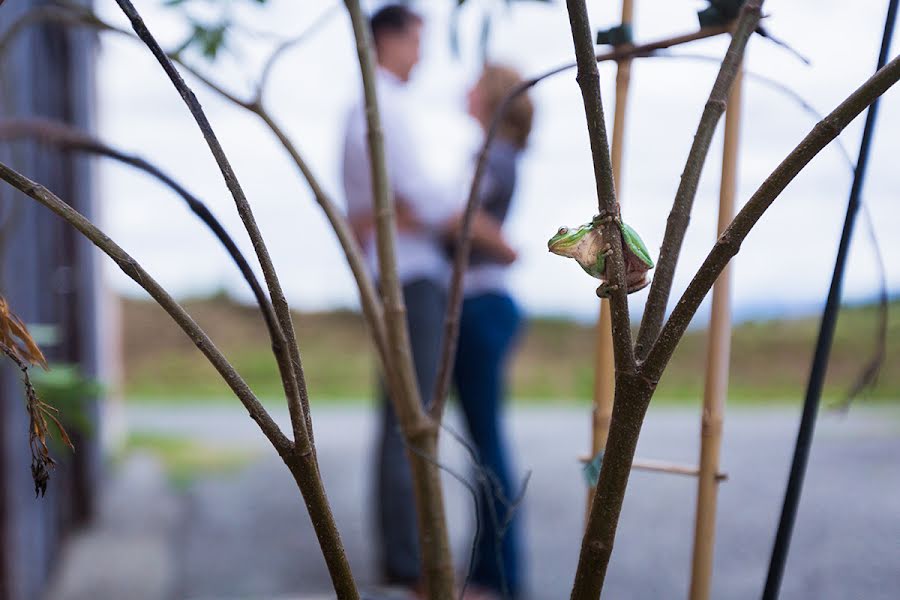 Wedding photographer Lukas Guillaume (lukasg). Photo of 9 February 2016