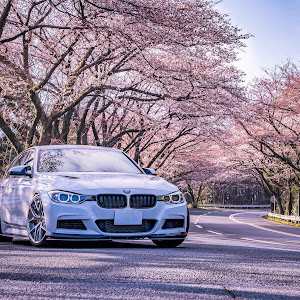 320d F31 ツーリング