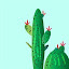 Cactus New Tab Nature Theme