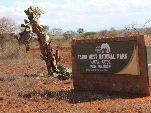 A Form Four student who was shot dead by Kenya Wildlife Service rangers in Tsavo National Park on Friday morning. /MONICAH MWANGI