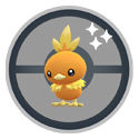 Torchic*