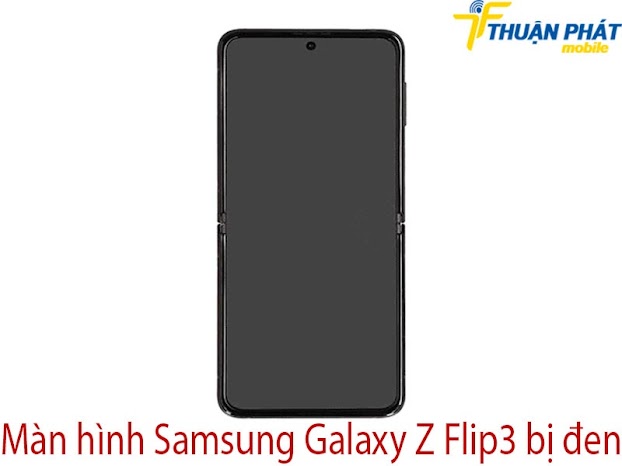 Màn hình Samsung Galaxy Z Flip3 bị đen