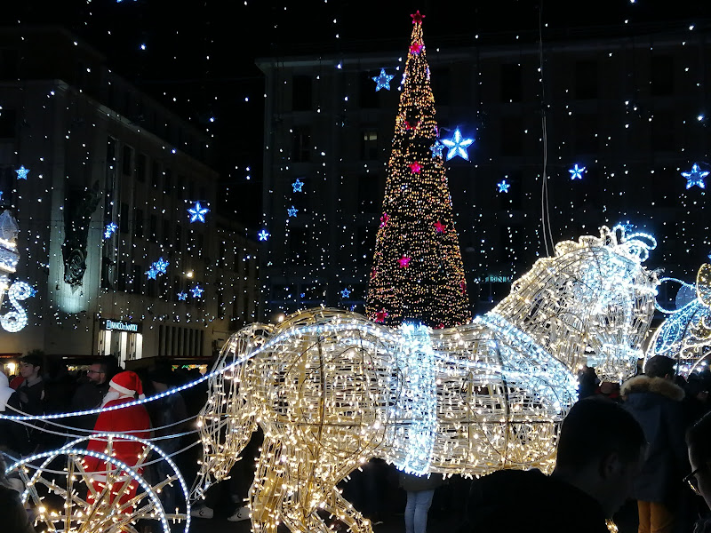 Luci sulla città  di steconte