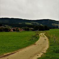 IL VERDE CAMMINO... di 