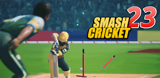 Bat Ball Game: Cricket Game 3D