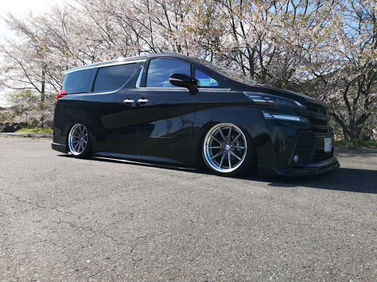 ヴェルファイアのチームHUAWEI・チームヤシの木・輪止めビビリーズ・Excitación・葉桜とコラボ🤭に関するカスタム事例の投稿画像1枚目