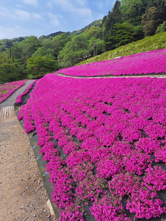 の投稿画像9枚目