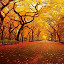 Autumn Wallpaper New Tab Theme[Install Now]