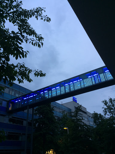 Blue Bridge