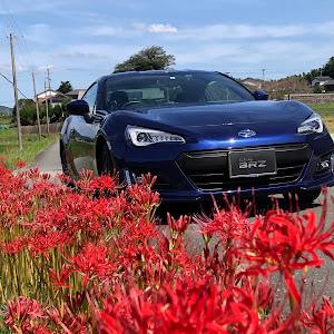 BRZ ZC6