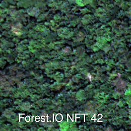 Forest.io Congo NFT #42
