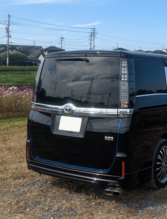 ヴォクシーの車種名エンブレムは有り派・コスモス畑に関するカスタム事例の投稿画像5枚目