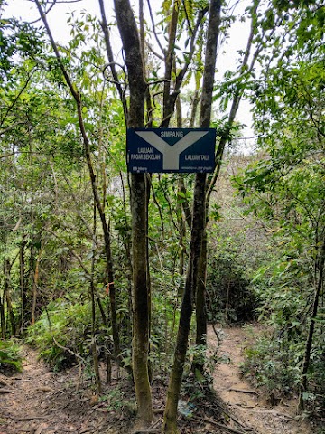 Bukit Besar Terengganu Hiking Guide Y Junction Simpang Y