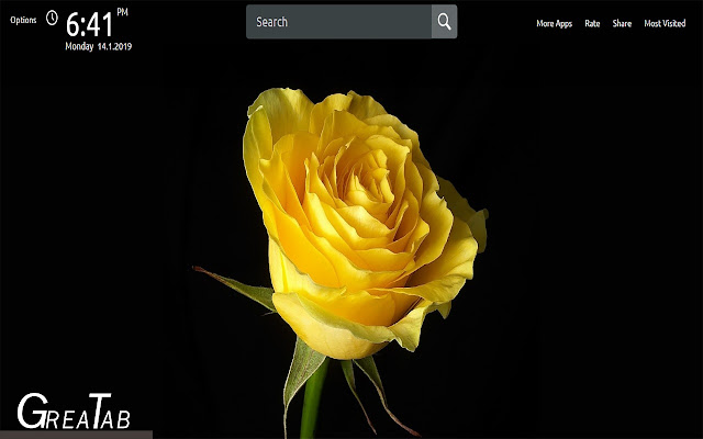 Yellow Flowers Wallpapers New Tab|GreaTab