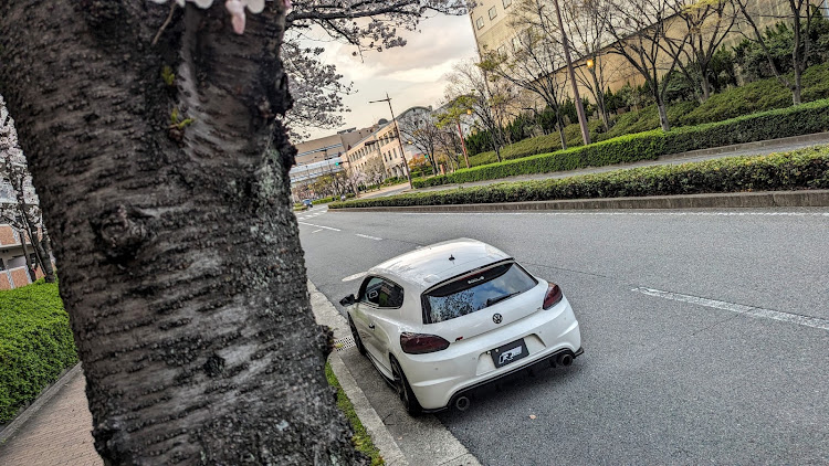 シロッコのサクラと愛車に関するカスタム事例の投稿画像8枚目