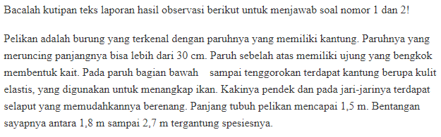 Pernyataan umum dalam kutipan teks laporan hasil observasi dinyatakan dalam kalimat ...
            