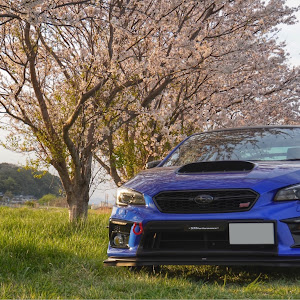 WRX S4 VAG