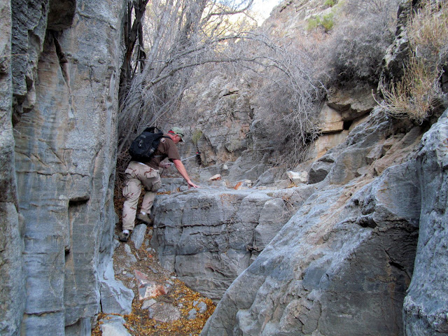 Climbing some ledges