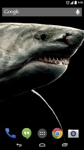 How to get Shark 3D Live Wallpaper 2.0 mod apk for android